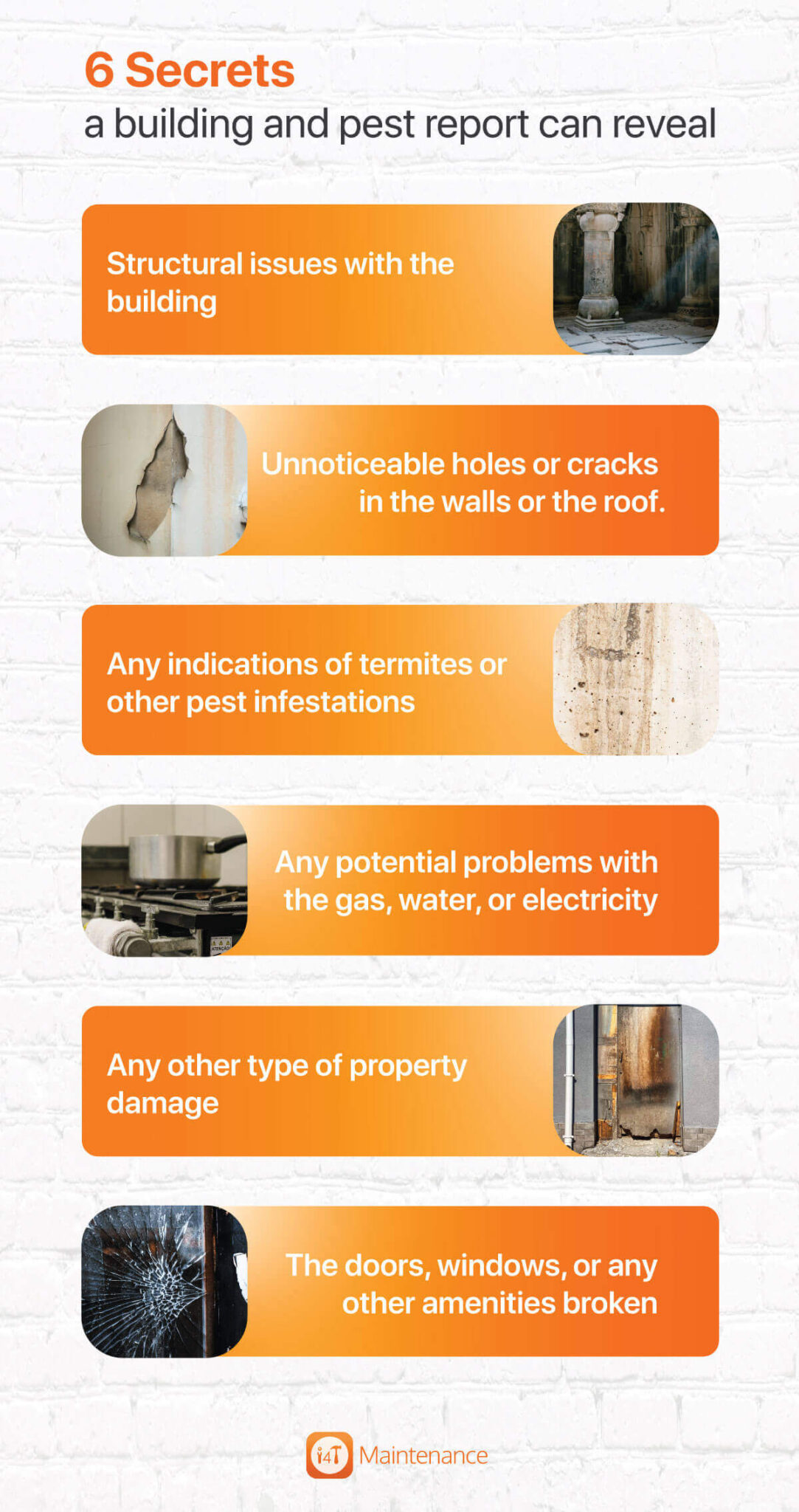 Everything you need to know about Building and Pest Report