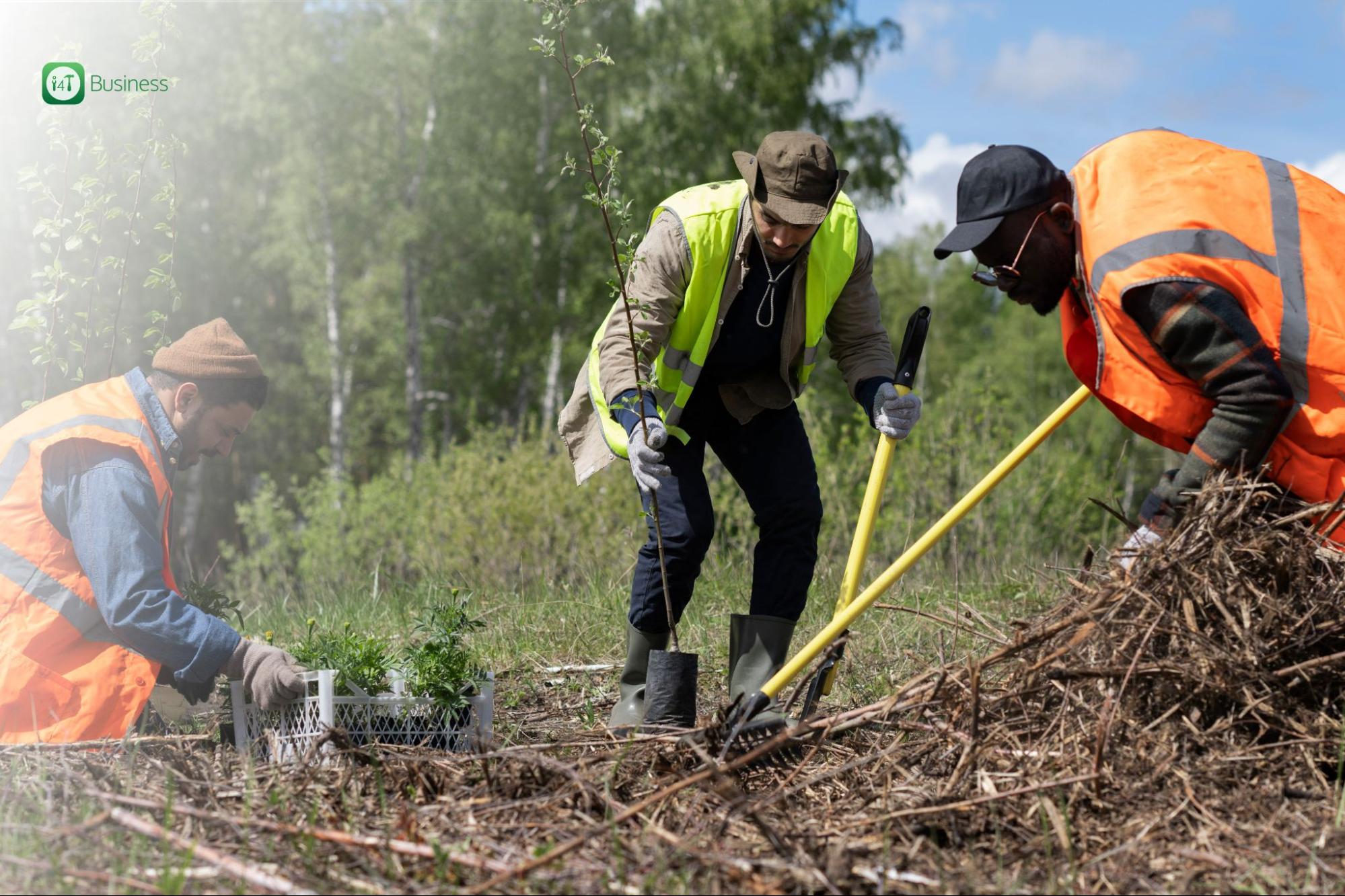 Field Service Professionals